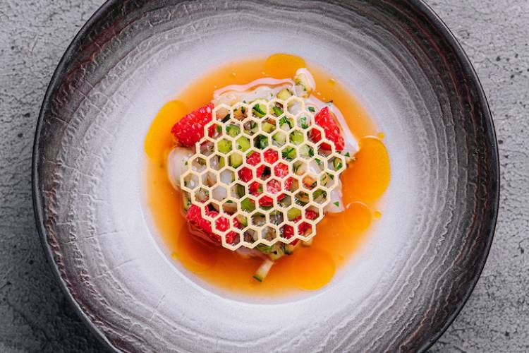 aerial view of fine dining plated food 