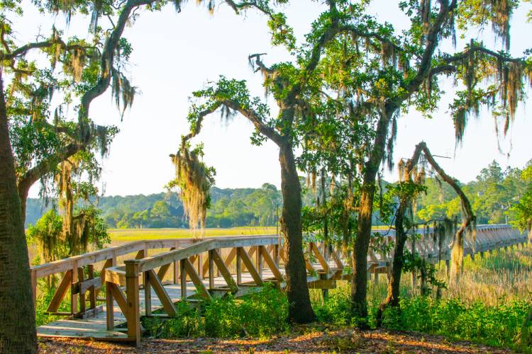 boardwalk over water at a preserve 