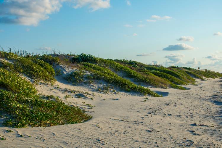 sand dunes on beach